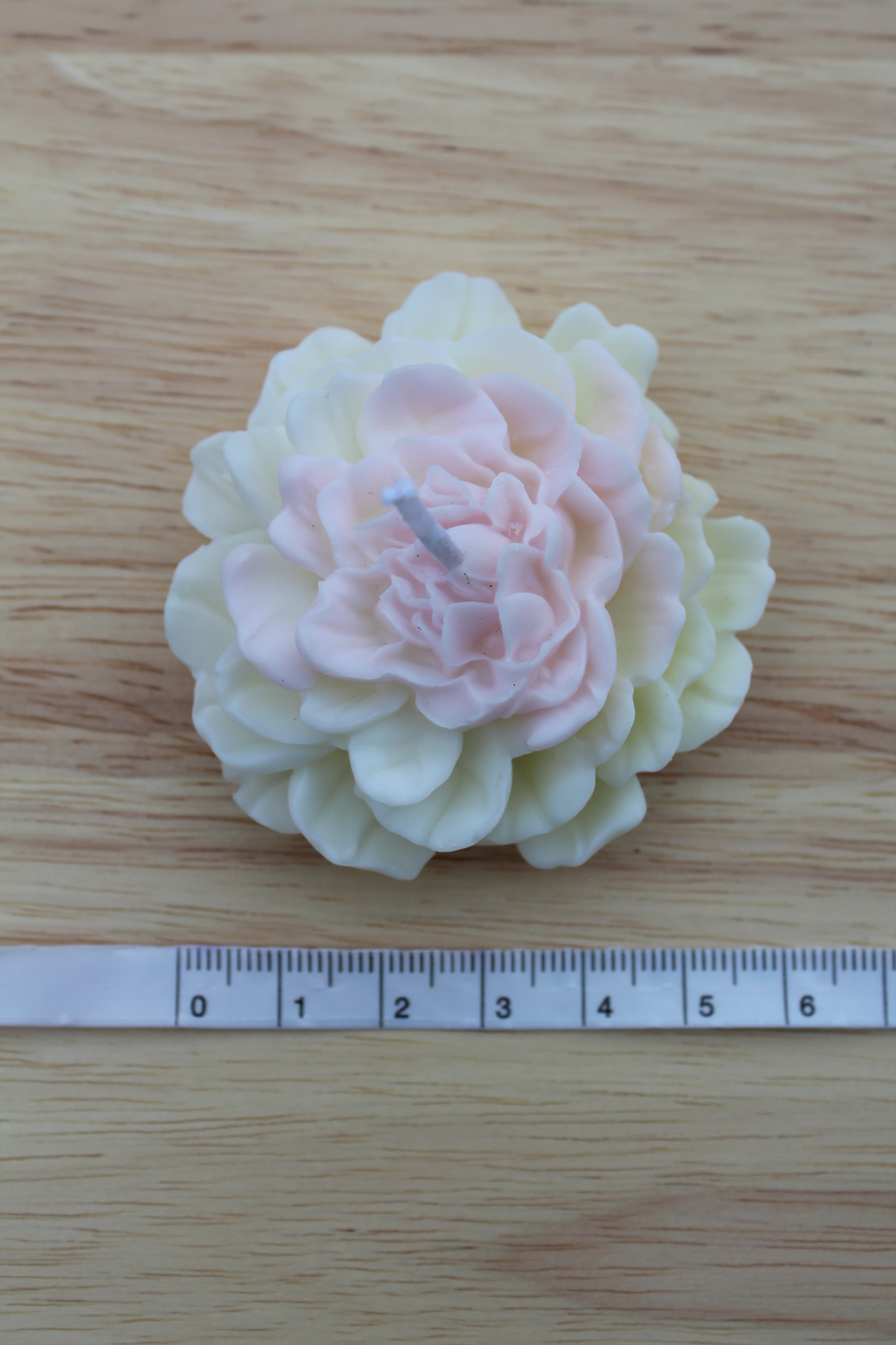 Medium bi-colour peony candle